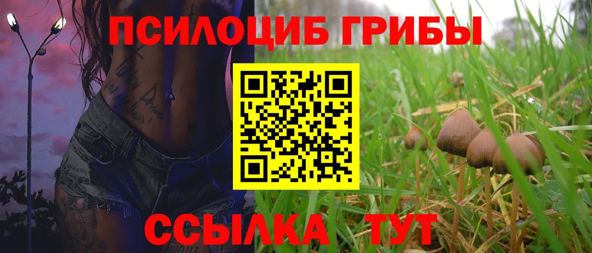 Кубинка  Псилоцибиновые грибы MAGIC MUSHROOMS  Вход с VPN 